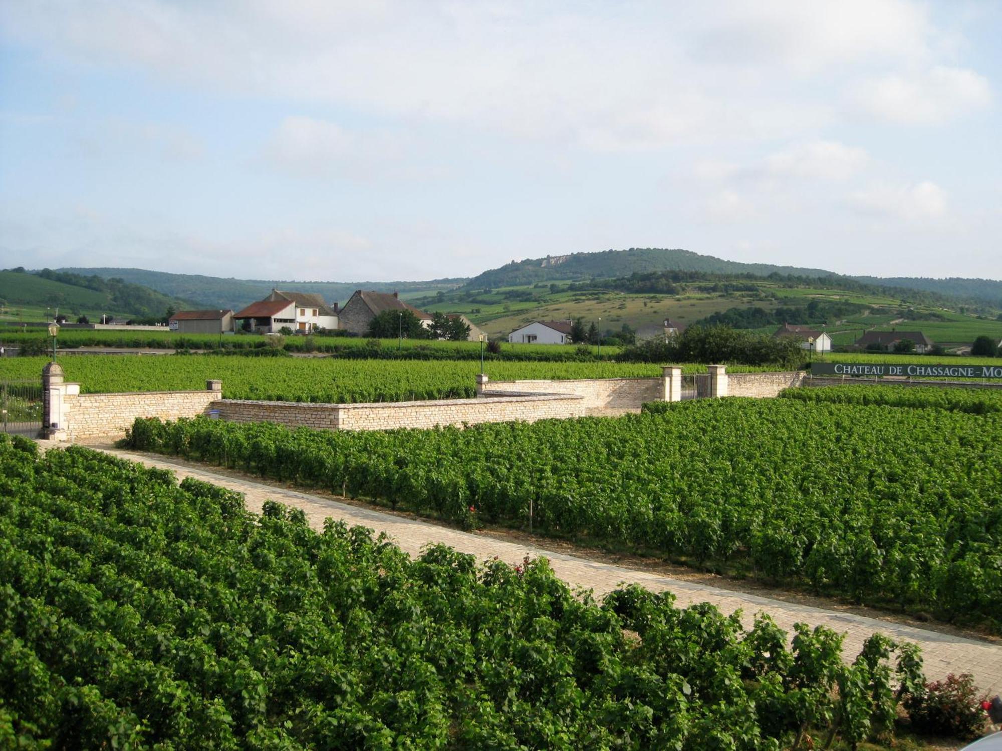 Chateau De Chassagne-Montrachet Exterior foto